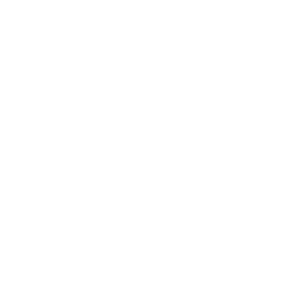 シニア世代