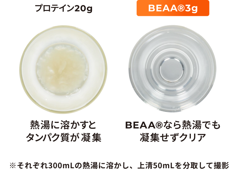 プロテインで起こるデメリットを解消